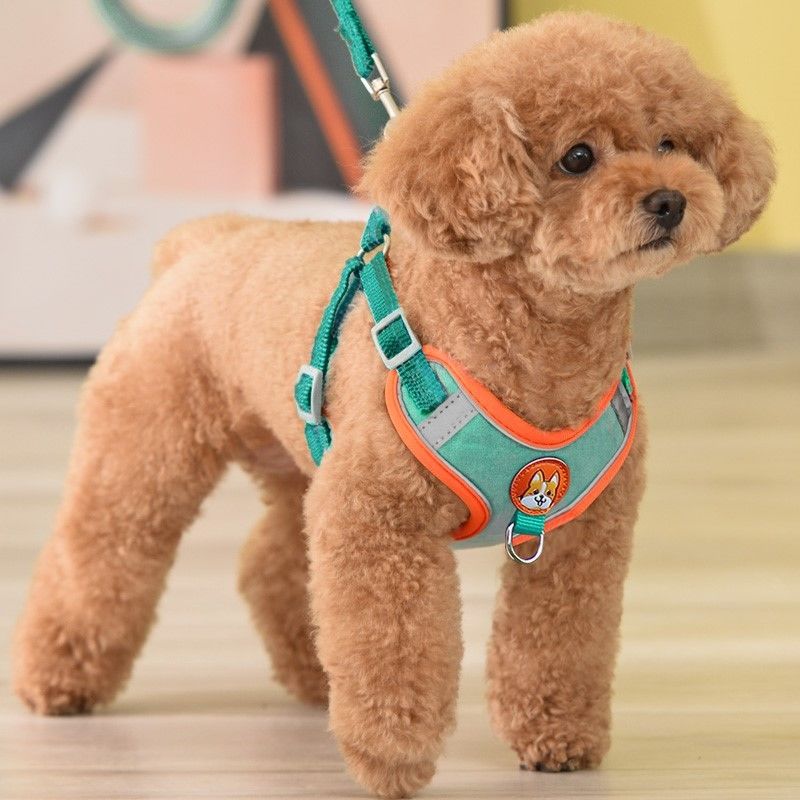 Running Gear Dog - Ajustável Sem Puxar Pet Reflective Dog