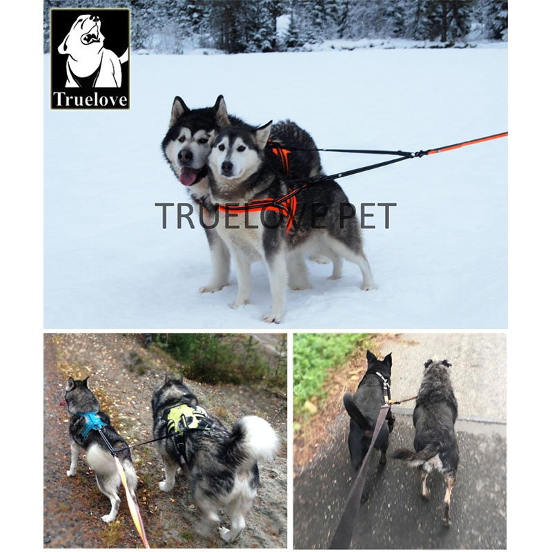 Trela dupla de nylon Truelove  - Running Gear Dog avaliação e preço