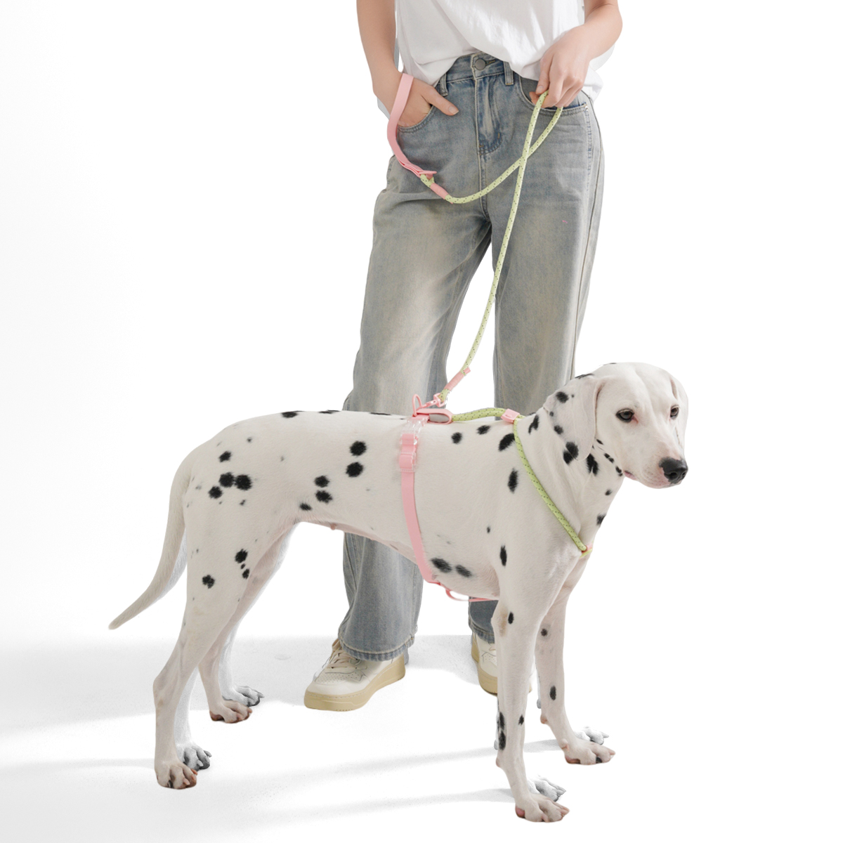 Arnês para cães pequenos e méd - Running Gear Dog avaliação e preço