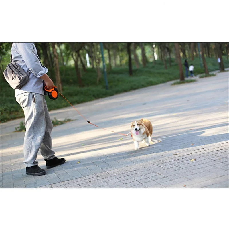 Trela retrátil de nylon para c - Running Gear Dog avaliação e preço