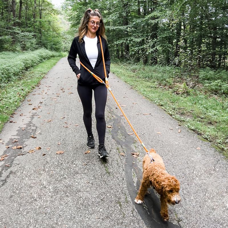 Trela reflexiva para cães mãos - Running Gear Dog avaliação e preço