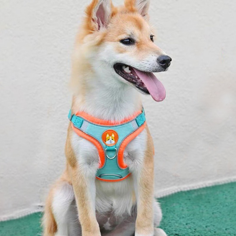 Ajustável Sem Puxar Pet Reflec - Running Gear Dog avaliação e preço